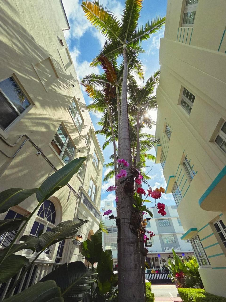 Luxuri Suites Miami Beach Bagian luar foto